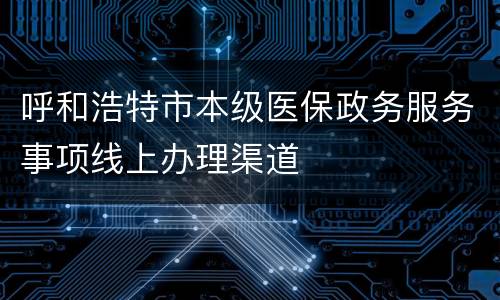 呼和浩特市本级医保政务服务事项线上办理渠道