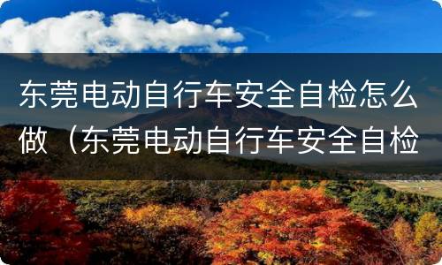 东莞电动自行车安全自检怎么做（东莞电动自行车安全自检怎么做到的）