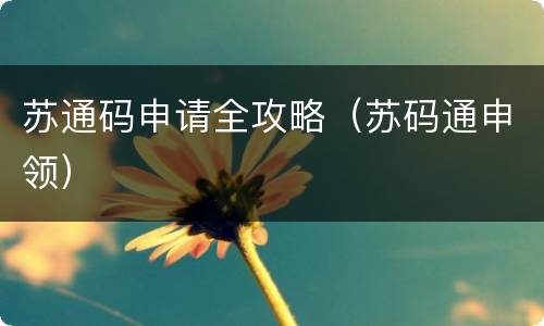 苏通码申请全攻略（苏码通申领）
