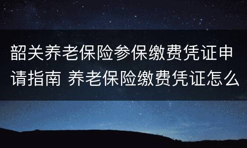 韶关养老保险参保缴费凭证申请指南 养老保险缴费凭证怎么办理