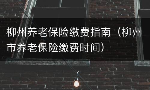 柳州养老保险缴费指南（柳州市养老保险缴费时间）