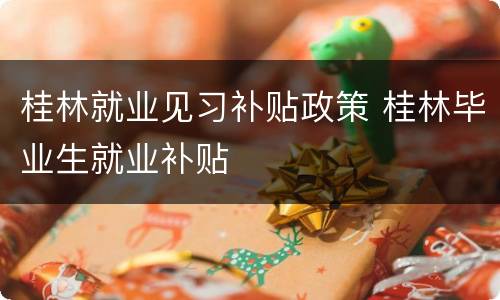 桂林就业见习补贴政策 桂林毕业生就业补贴