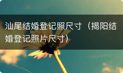 汕尾结婚登记照尺寸（揭阳结婚登记照片尺寸）