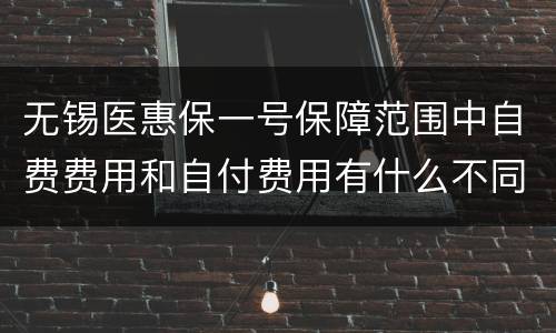 无锡医惠保一号保障范围中自费费用和自付费用有什么不同（附实例）