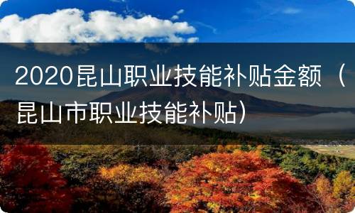 2020昆山职业技能补贴金额（昆山市职业技能补贴）