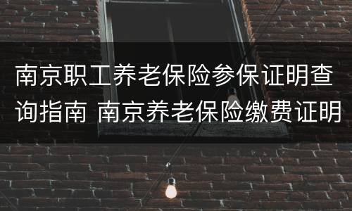 南京职工养老保险参保证明查询指南 南京养老保险缴费证明