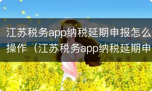 江苏税务app纳税延期申报怎么操作（江苏税务app纳税延期申报怎么操作）