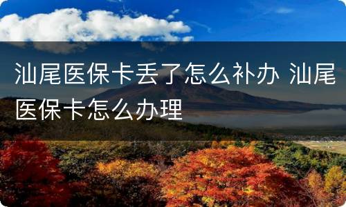 汕尾医保卡丢了怎么补办 汕尾医保卡怎么办理