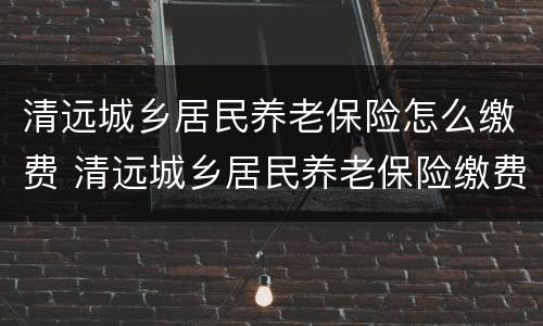 清远城乡居民养老保险怎么缴费 清远城乡居民养老保险缴费标准