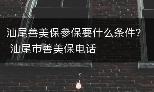 汕尾善美保参保要什么条件？ 汕尾市善美保电话