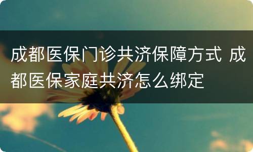 成都医保门诊共济保障方式 成都医保家庭共济怎么绑定