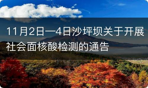 11月2日—4日沙坪坝关于开展社会面核酸检测的通告