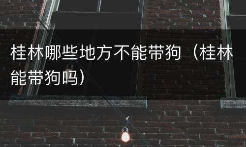 桂林哪些地方不能带狗（桂林能带狗吗）