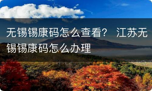 无锡锡康码怎么查看？ 江苏无锡锡康码怎么办理