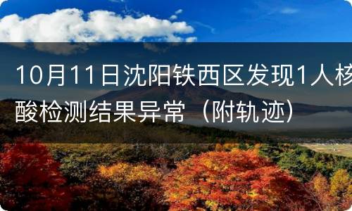 10月11日沈阳铁西区发现1人核酸检测结果异常（附轨迹）