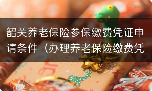 韶关养老保险参保缴费凭证申请条件（办理养老保险缴费凭证需要什么资料）