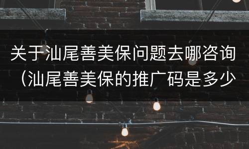 关于汕尾善美保问题去哪咨询（汕尾善美保的推广码是多少）
