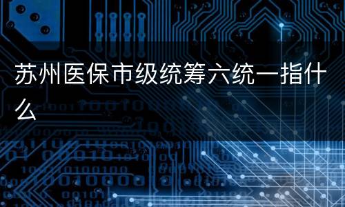 苏州医保市级统筹六统一指什么