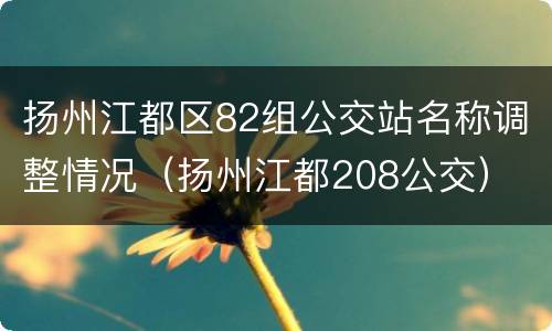 扬州江都区82组公交站名称调整情况（扬州江都208公交）