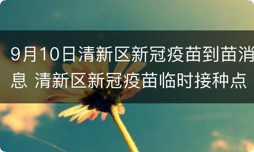 9月10日清新区新冠疫苗到苗消息 清新区新冠疫苗临时接种点