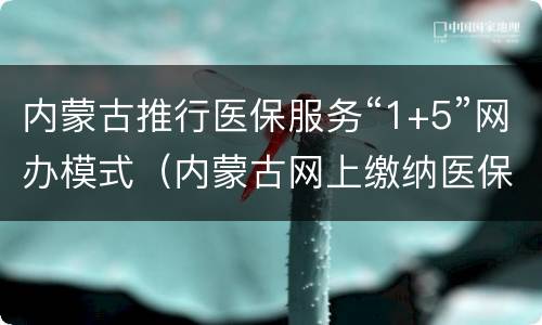 内蒙古推行医保服务“1+5”网办模式（内蒙古网上缴纳医保）