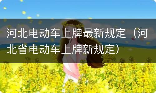 河北电动车上牌最新规定（河北省电动车上牌新规定）