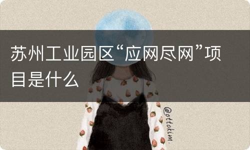 苏州工业园区“应网尽网”项目是什么