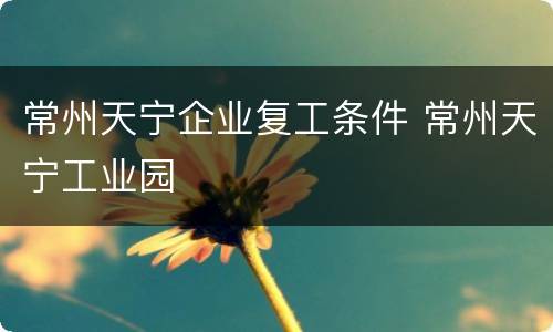 常州天宁企业复工条件 常州天宁工业园