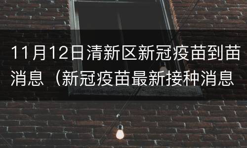 11月12日清新区新冠疫苗到苗消息（新冠疫苗最新接种消息）