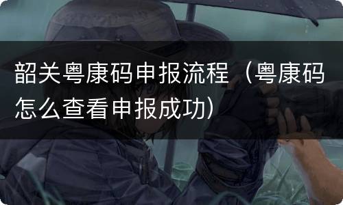 韶关粤康码申报流程（粤康码怎么查看申报成功）