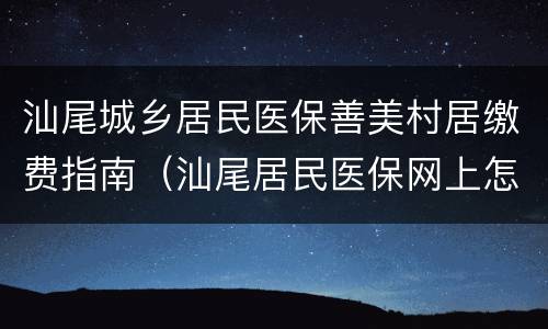 汕尾城乡居民医保善美村居缴费指南（汕尾居民医保网上怎么缴费）