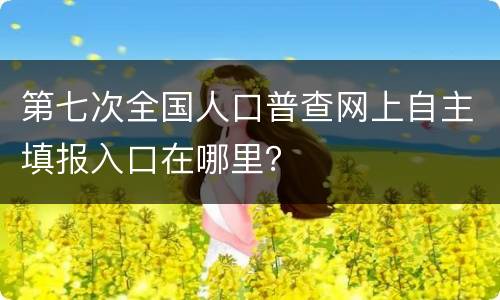 第七次全国人口普查网上自主填报入口在哪里？