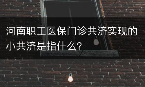 河南职工医保门诊共济实现的小共济是指什么？
