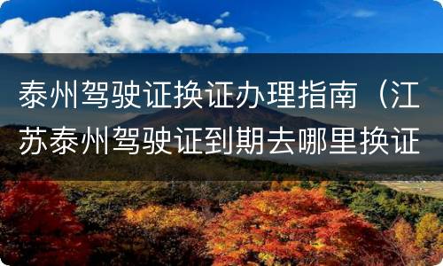 泰州驾驶证换证办理指南（江苏泰州驾驶证到期去哪里换证）