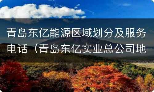 青岛东亿能源区域划分及服务电话（青岛东亿实业总公司地址）