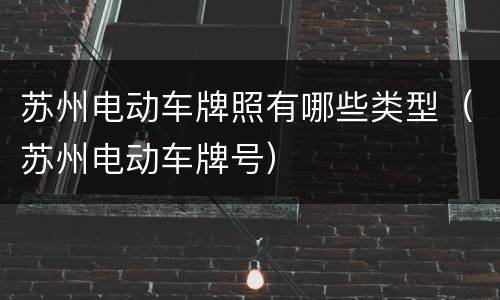 苏州电动车牌照有哪些类型（苏州电动车牌号）