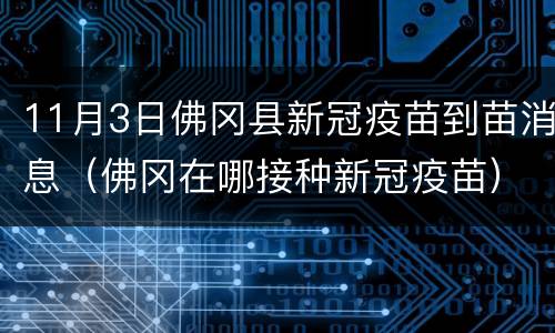 11月3日佛冈县新冠疫苗到苗消息（佛冈在哪接种新冠疫苗）