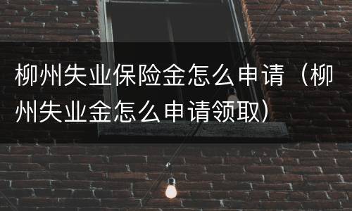 柳州失业保险金怎么申请（柳州失业金怎么申请领取）