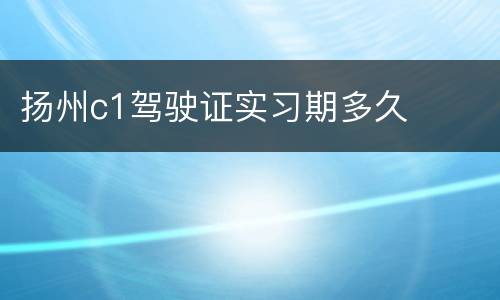 扬州c1驾驶证实习期多久