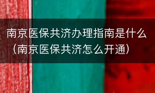 南京医保共济办理指南是什么（南京医保共济怎么开通）