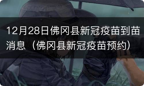12月28日佛冈县新冠疫苗到苗消息（佛冈县新冠疫苗预约）