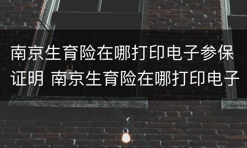 南京生育险在哪打印电子参保证明 南京生育险在哪打印电子参保证明书