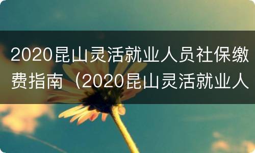2020昆山灵活就业人员社保缴费指南（2020昆山灵活就业人员社保缴费指南解读）