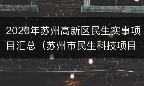 2020年苏州高新区民生实事项目汇总（苏州市民生科技项目2020）