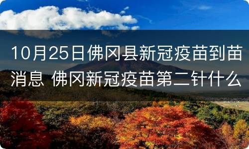 10月25日佛冈县新冠疫苗到苗消息 佛冈新冠疫苗第二针什么时候有号