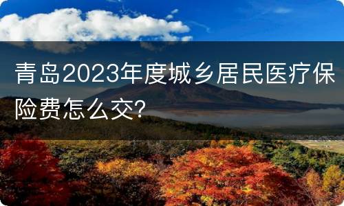青岛2023年度城乡居民医疗保险费怎么交？