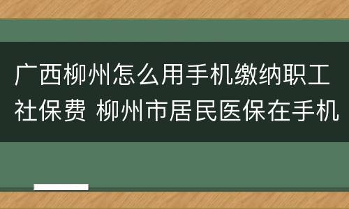 广西柳州怎么用手机缴纳职工社保费 柳州市居民医保在手机上怎么缴费