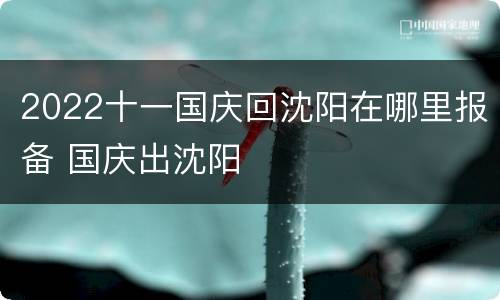 2022十一国庆回沈阳在哪里报备 国庆出沈阳