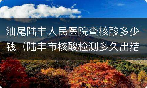 汕尾陆丰人民医院查核酸多少钱（陆丰市核酸检测多久出结果）