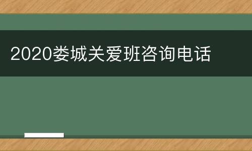 2020娄城关爱班咨询电话
